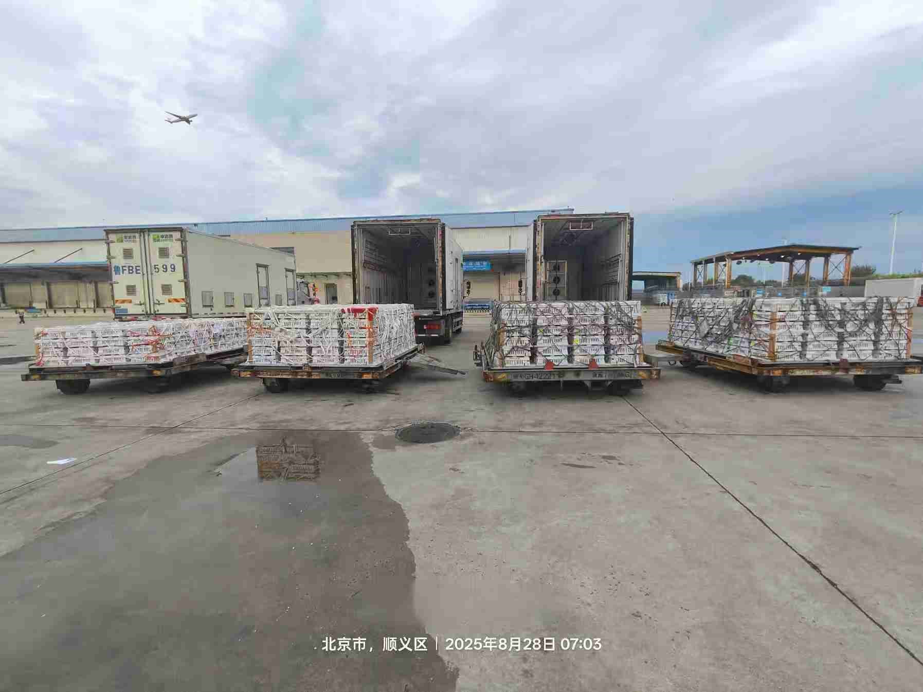 【引种】南宫NG28股份年度引种突破16万套，市占率59%稳居行业龙头